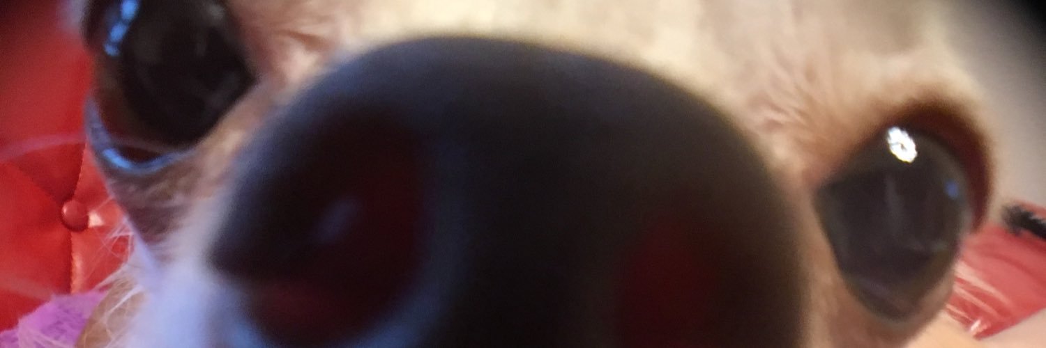 capo717kia33's profile banner image