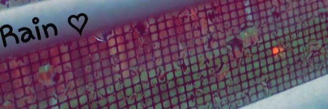 xRaiinn__'s profile banner image