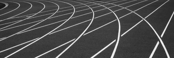 MedinaBeesTrack Profile Banner