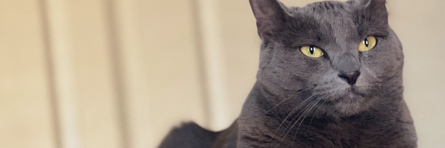 mayallyssa0's profile banner image