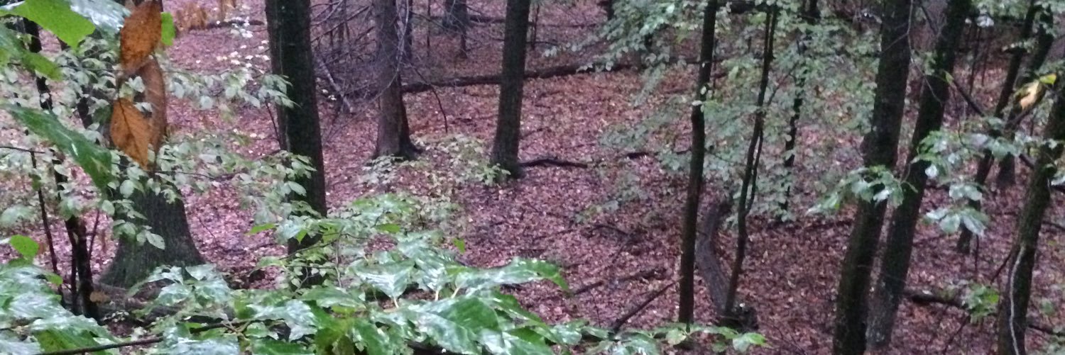 jstat8203's profile banner image