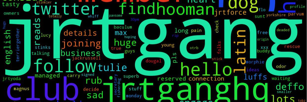 JRTgang's profile banner image