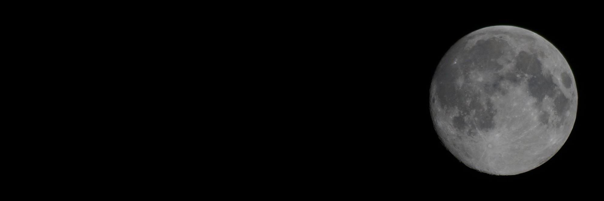 fishy_78's profile banner image