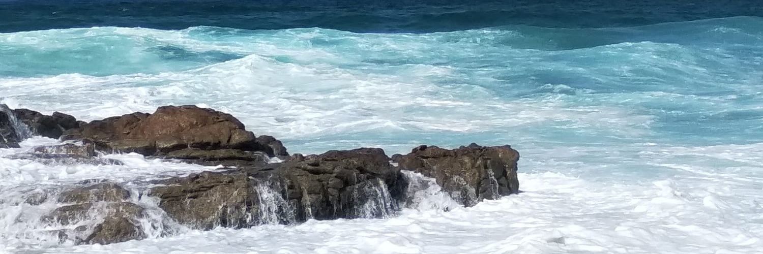 MarlénFernándezSilva banner