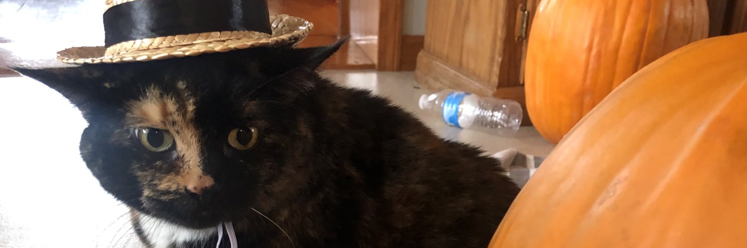 redactedabigail's profile banner image