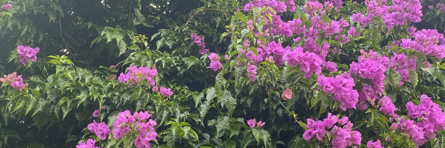 Vi banner