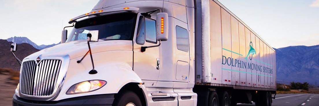 DolphinMoving's profile banner image