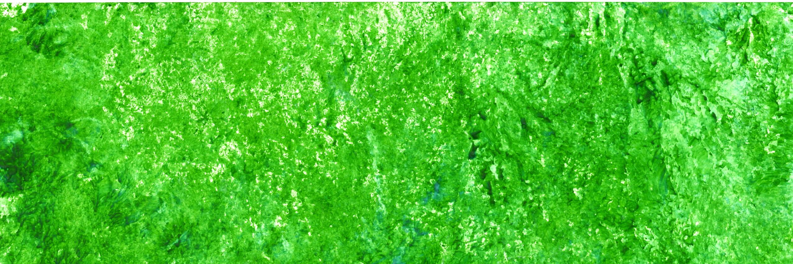 Algorithms Magazine banner