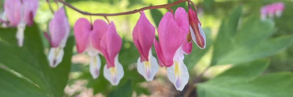 agrudniewicz Profile Banner