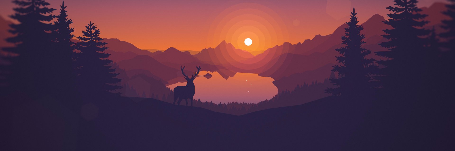 Michał Sajnóg banner