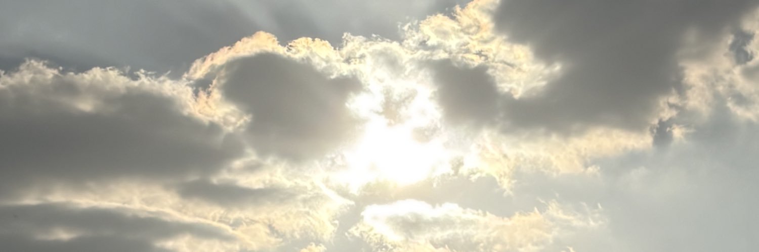 وليد 🪩 banner