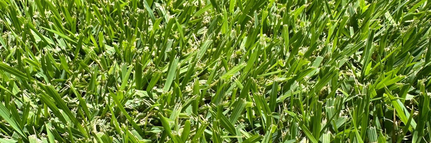 esmarruffo's profile banner image