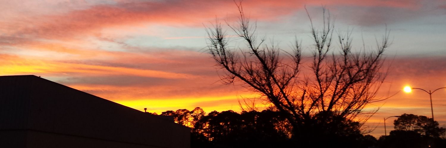 AJSG🙏🏾❤WxPhotoArtLady♉🎨 banner