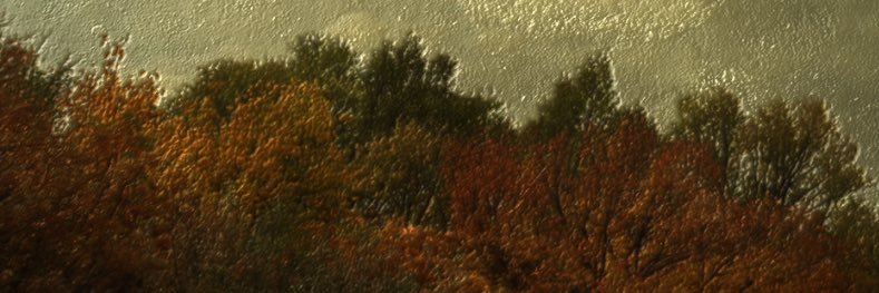 onnahill's profile banner image