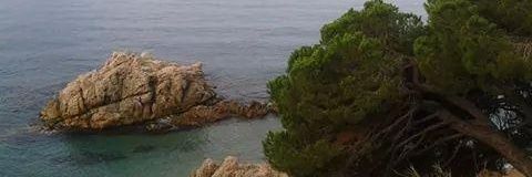 Pilar164's profile banner image