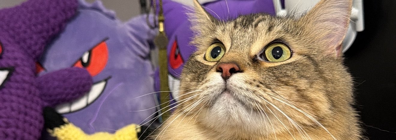 C0LlN's profile banner image