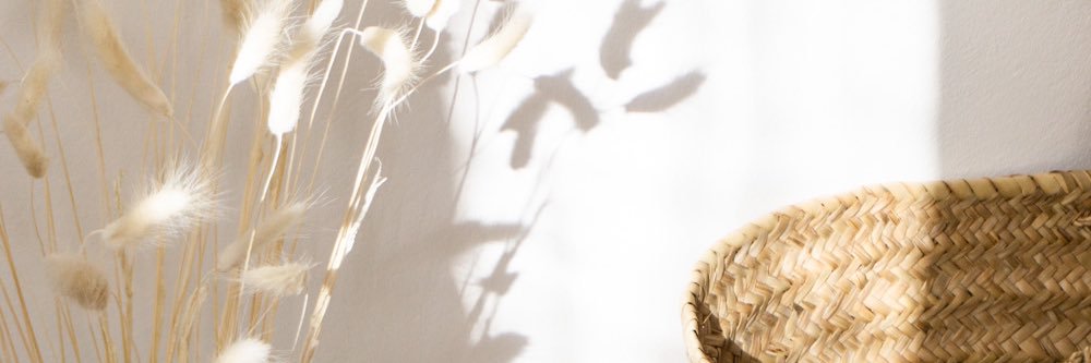 lexcasiero's profile banner image