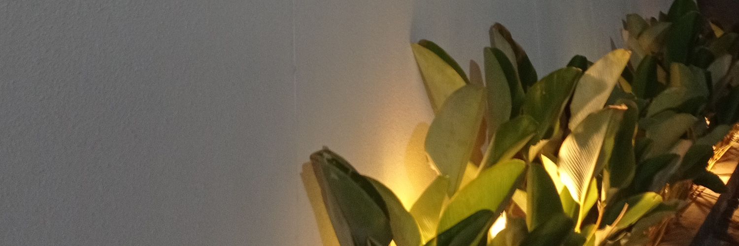 lisablekpang's profile banner image
