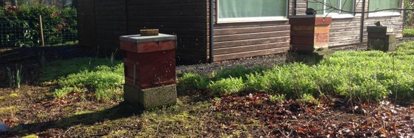 MidAntrimbee Profile Banner