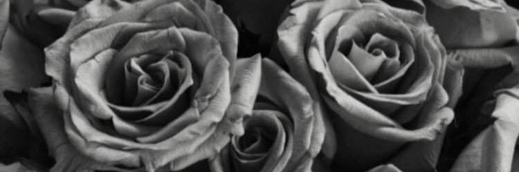 depressionisme3's profile banner image