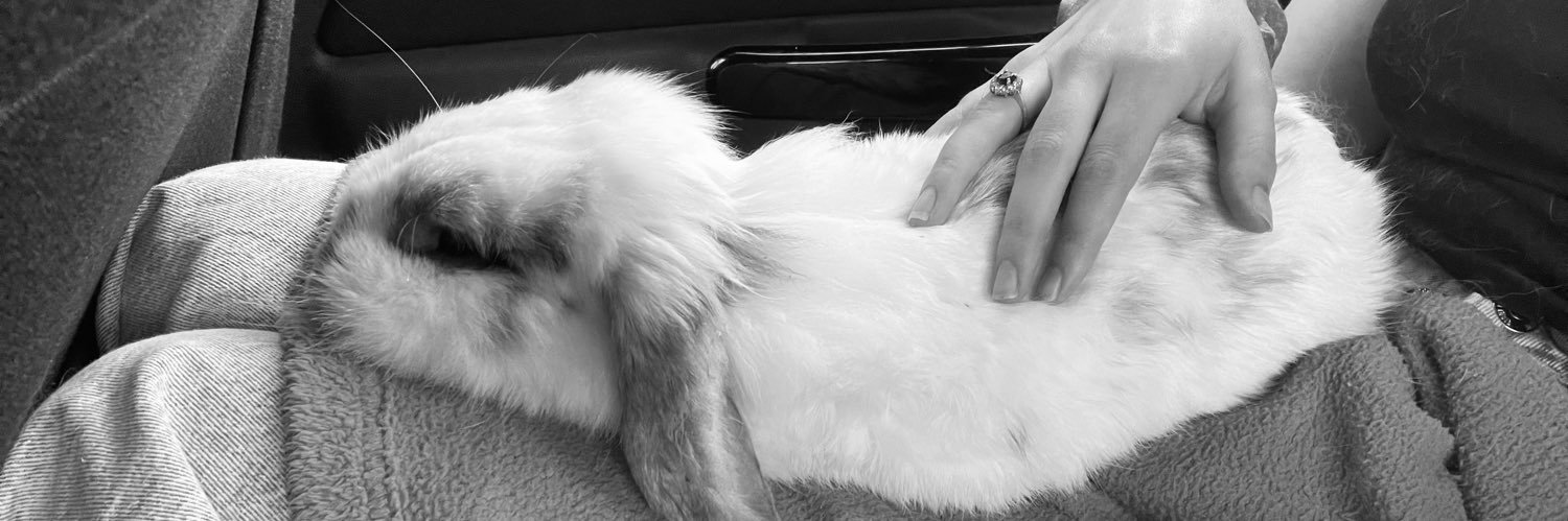 lisaaalfr's profile banner image