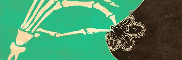 Rebecca banner