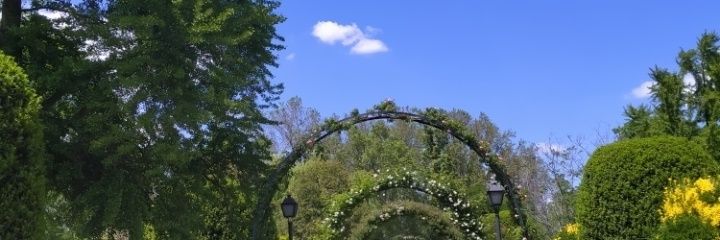 María del Carmen ® banner