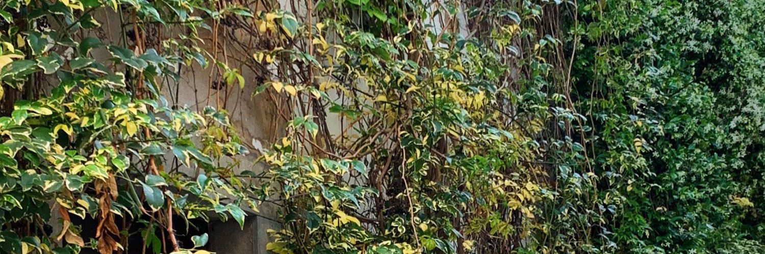 alvaroomdna's profile banner image
