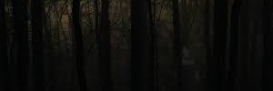 necroalchemyst's profile banner image