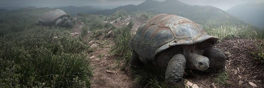 TopacioVILL's profile banner image