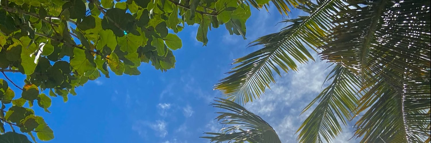 alalugom's profile banner image