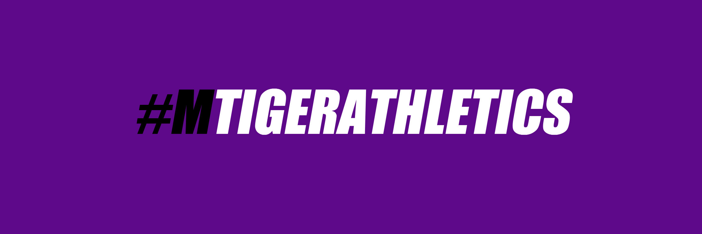 Millennium Tigers banner