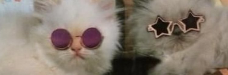 mar_manganoti's profile banner image