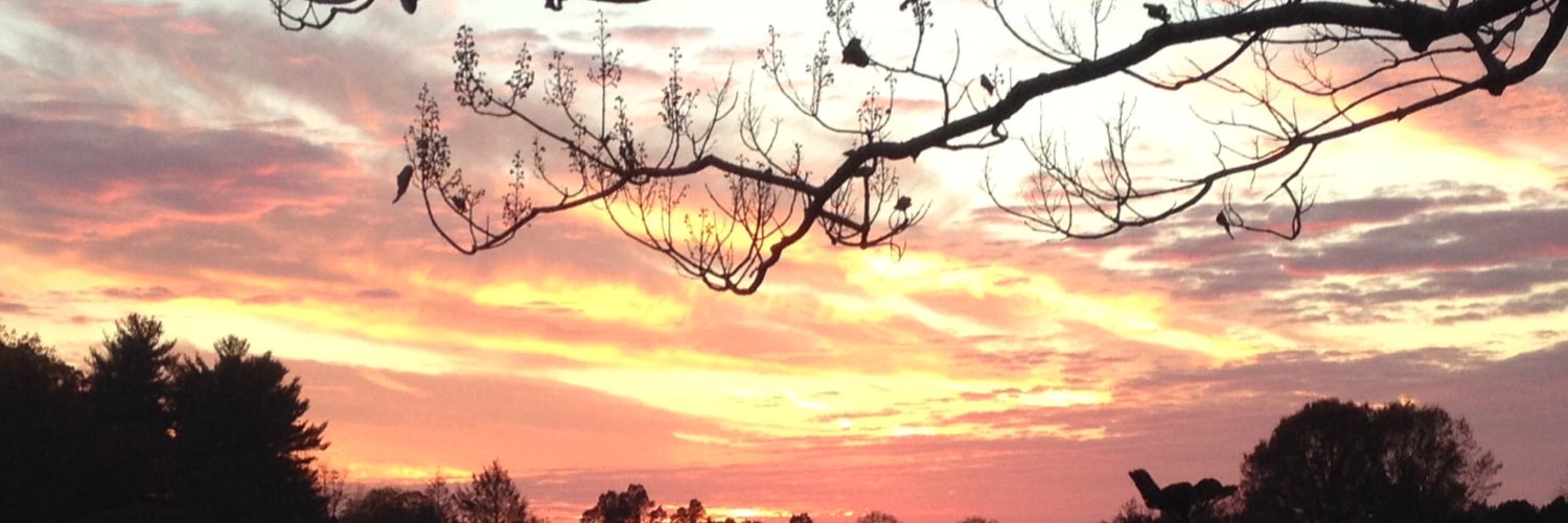 Shannon Marie Foster banner