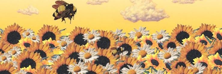 felipe banner