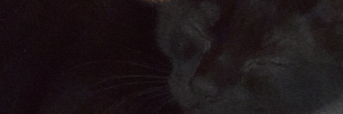 Summerrrleigh's profile banner image