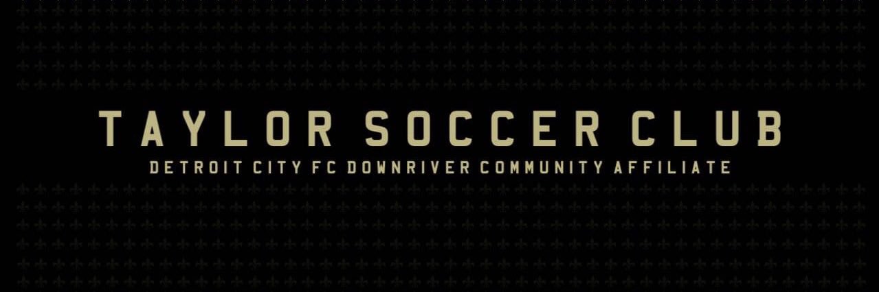 TaylorSC1985's profile banner image