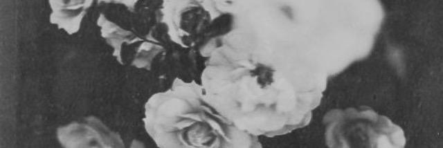 Susanstan3's profile banner image