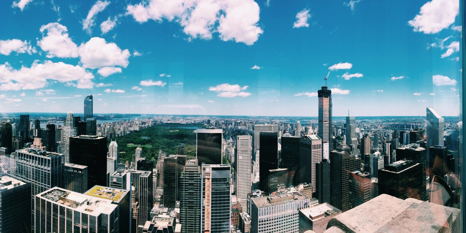 Neda Veselinovic banner