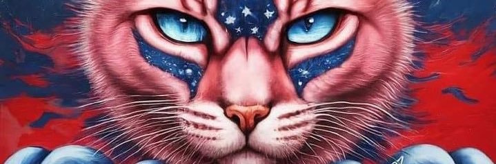 Carmy33's profile banner image
