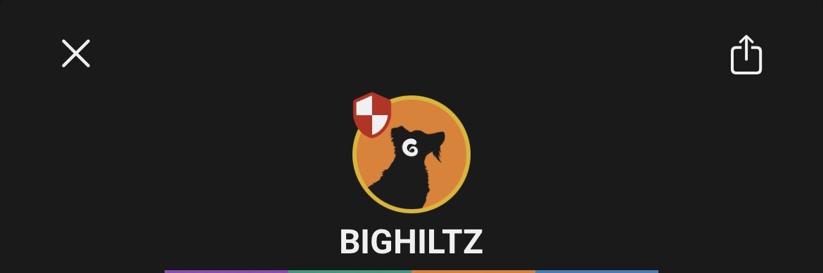 BigHiltz banner