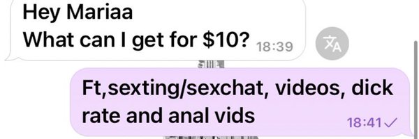 michellesc0013 Profile Banner