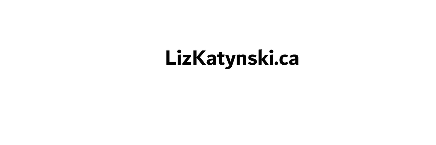 LizKatynski's profile banner image