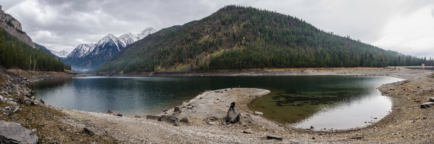 Freddy Monares banner