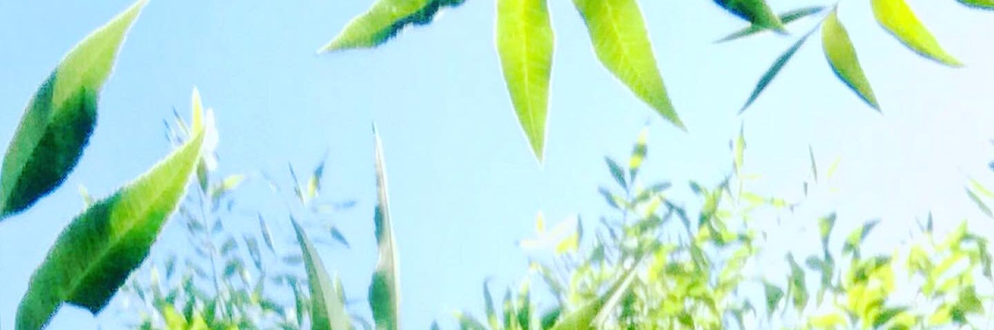 NickRockFitz's profile banner image