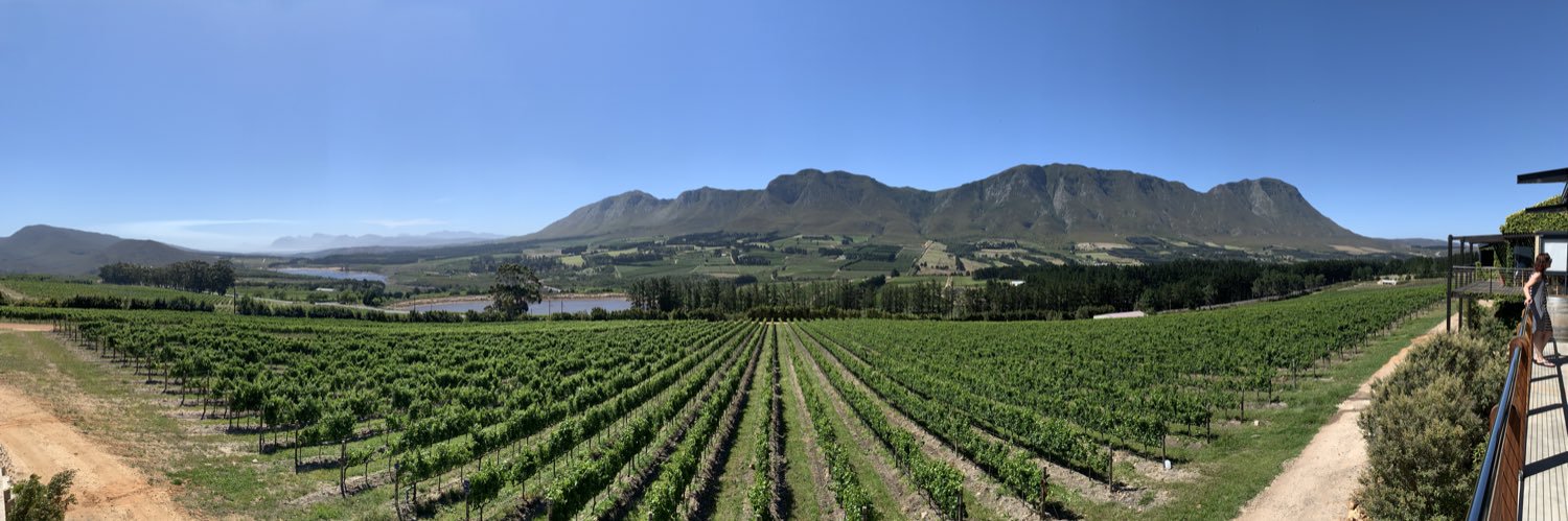 world_sommelier's profile banner image