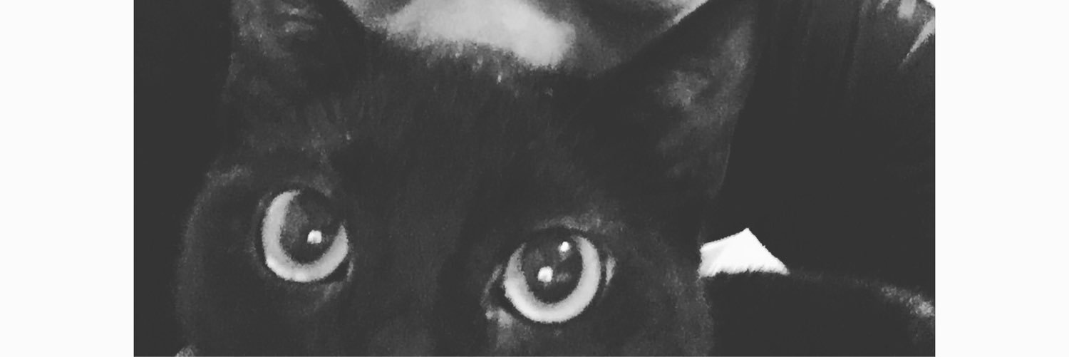 raca2996's profile banner image