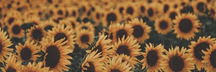 ginnyyy357's profile banner image