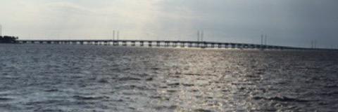 LCantasano's profile banner image