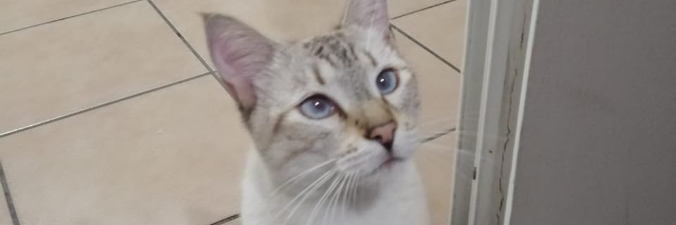 drwillito's profile banner image